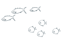 wireframe